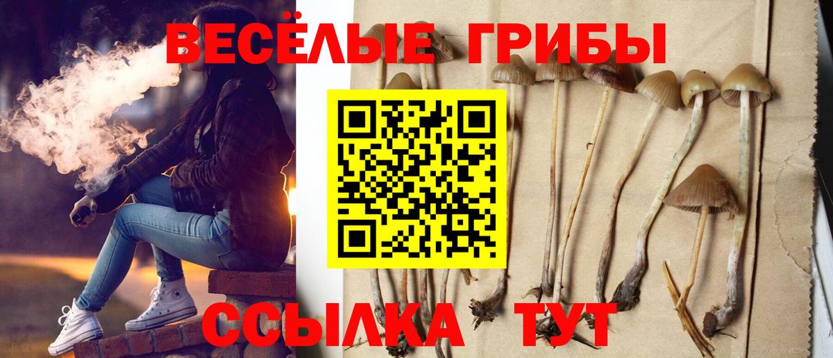Галлюциногенные грибы ЛСД Новочебоксарск