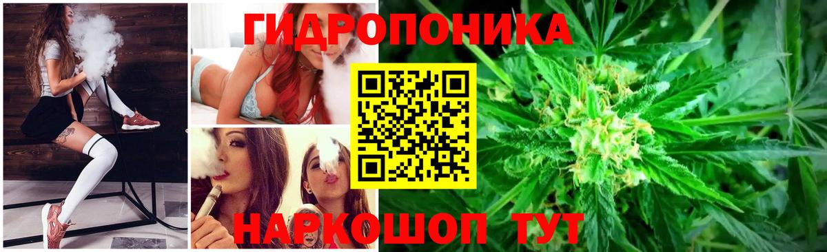 Бошки марихуана планчик Новочебоксарск